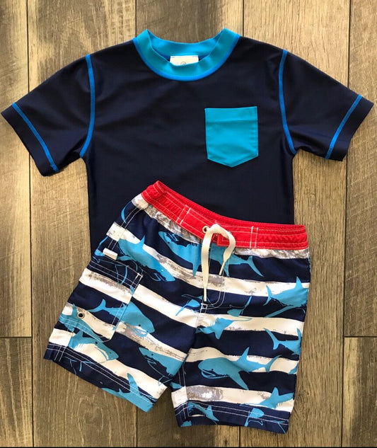 2 PC SHARK SWIM SET