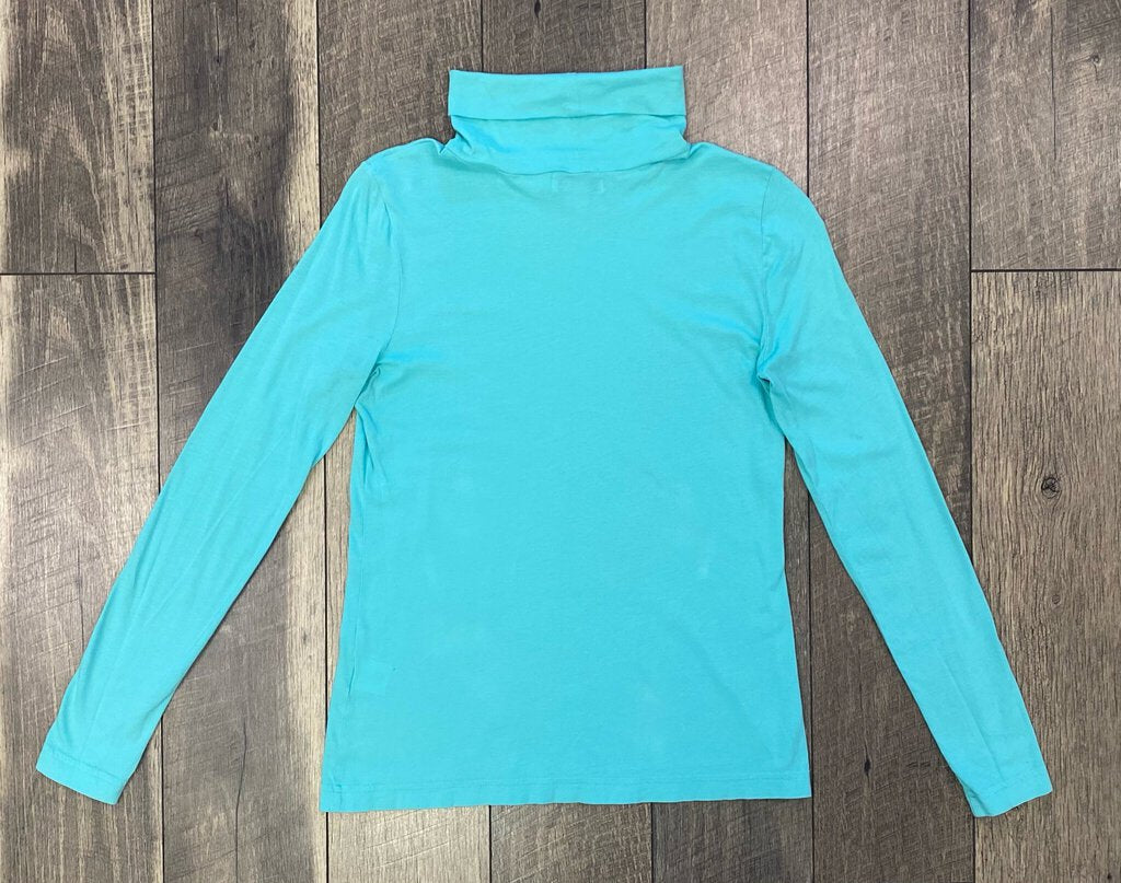 TEAL TURTLE NECK