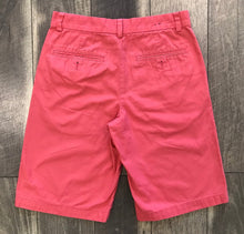 Load image into Gallery viewer, CORAL SHORTS
